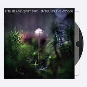 Emil Brandqvist Trio – Entering the Woods (2020) [24-96]
