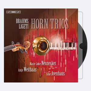 Silke Avenhaus Antje Weithaas – Brahms Ligeti Horn Trios 2012 Hi-Res 24bits – 88.2kHz
