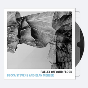 Becca Stevens & Elan Mehler – Pallet on Your Floor (2020) [24-88.2]