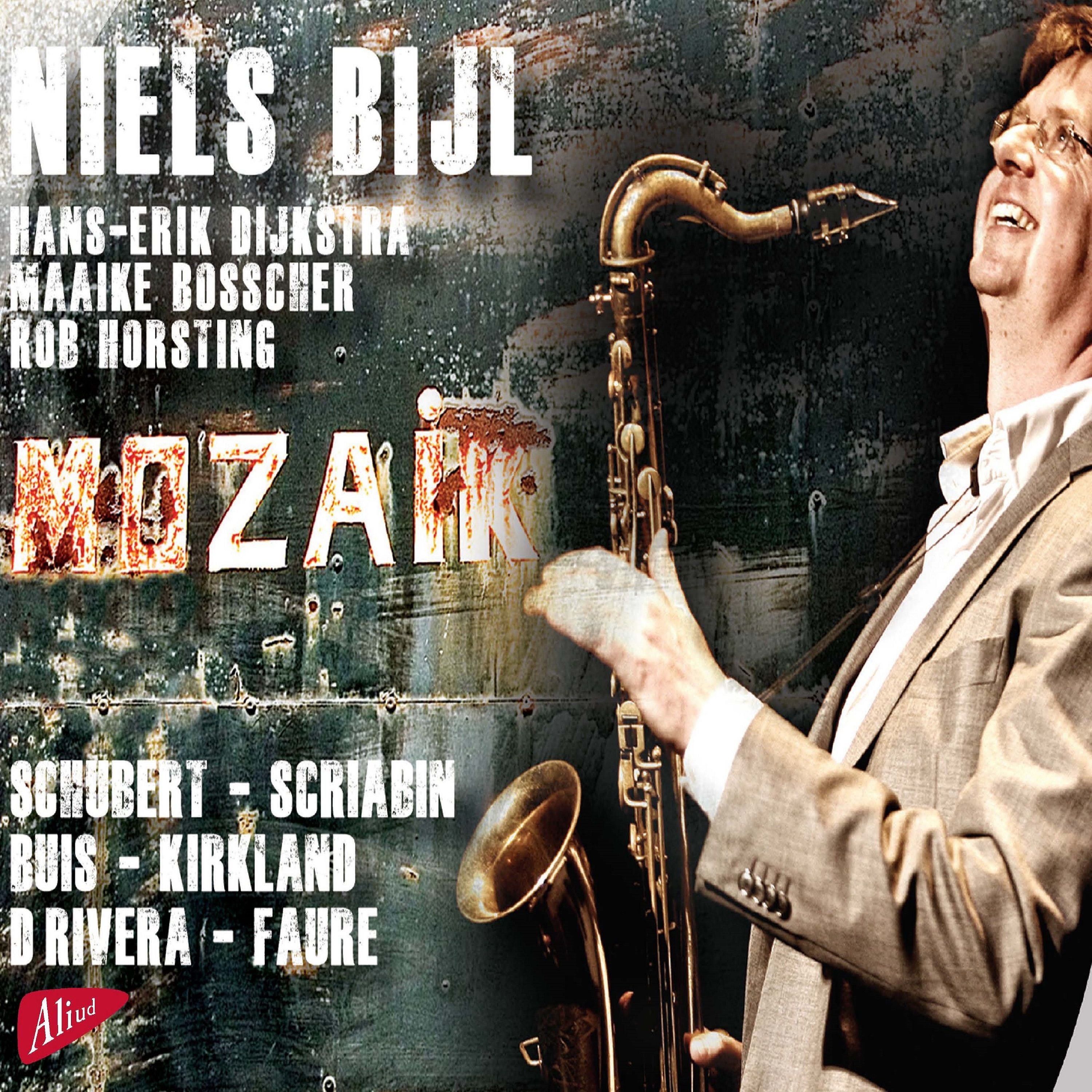 Niels Bijl – Mozaik