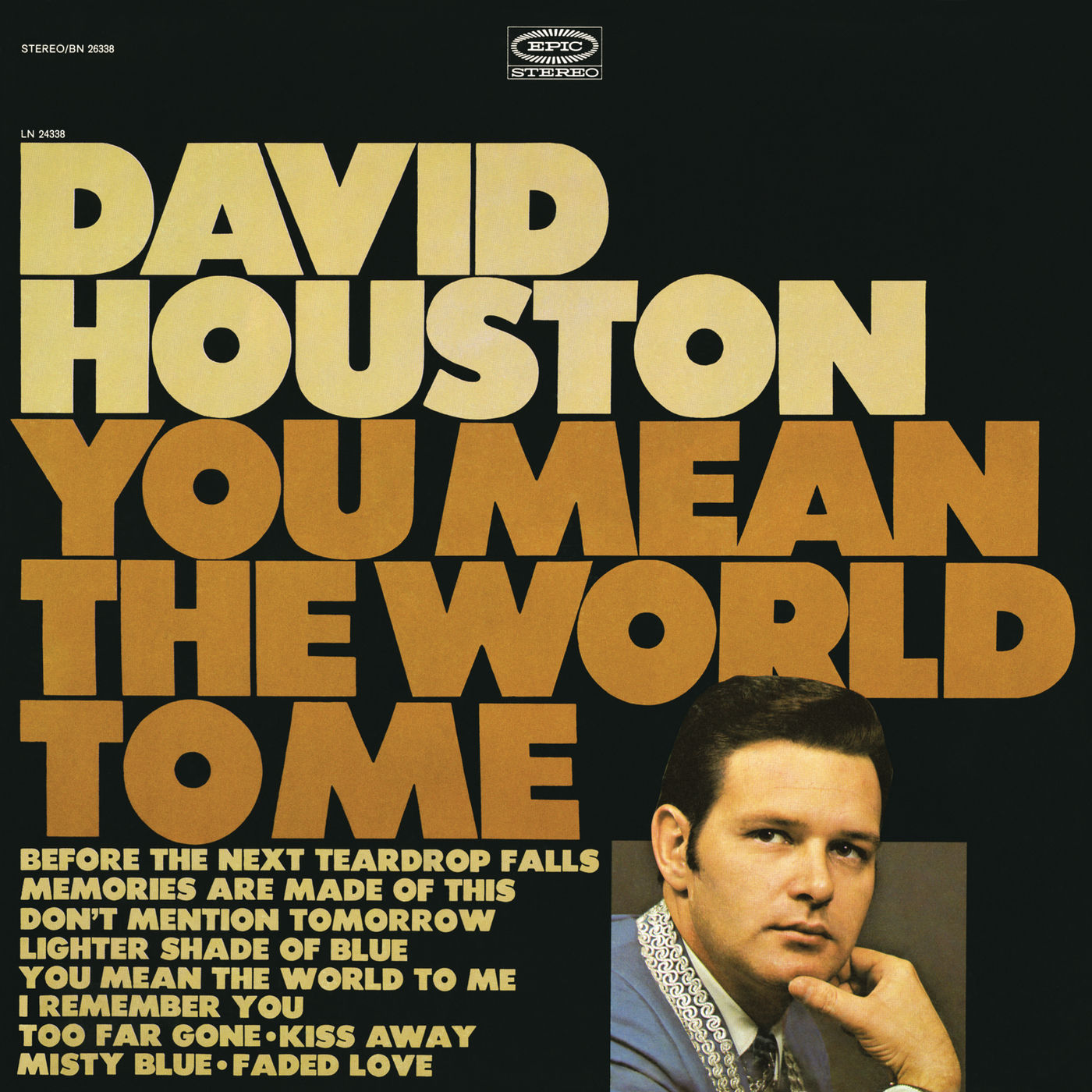 David Houston – You Mean the World to Me