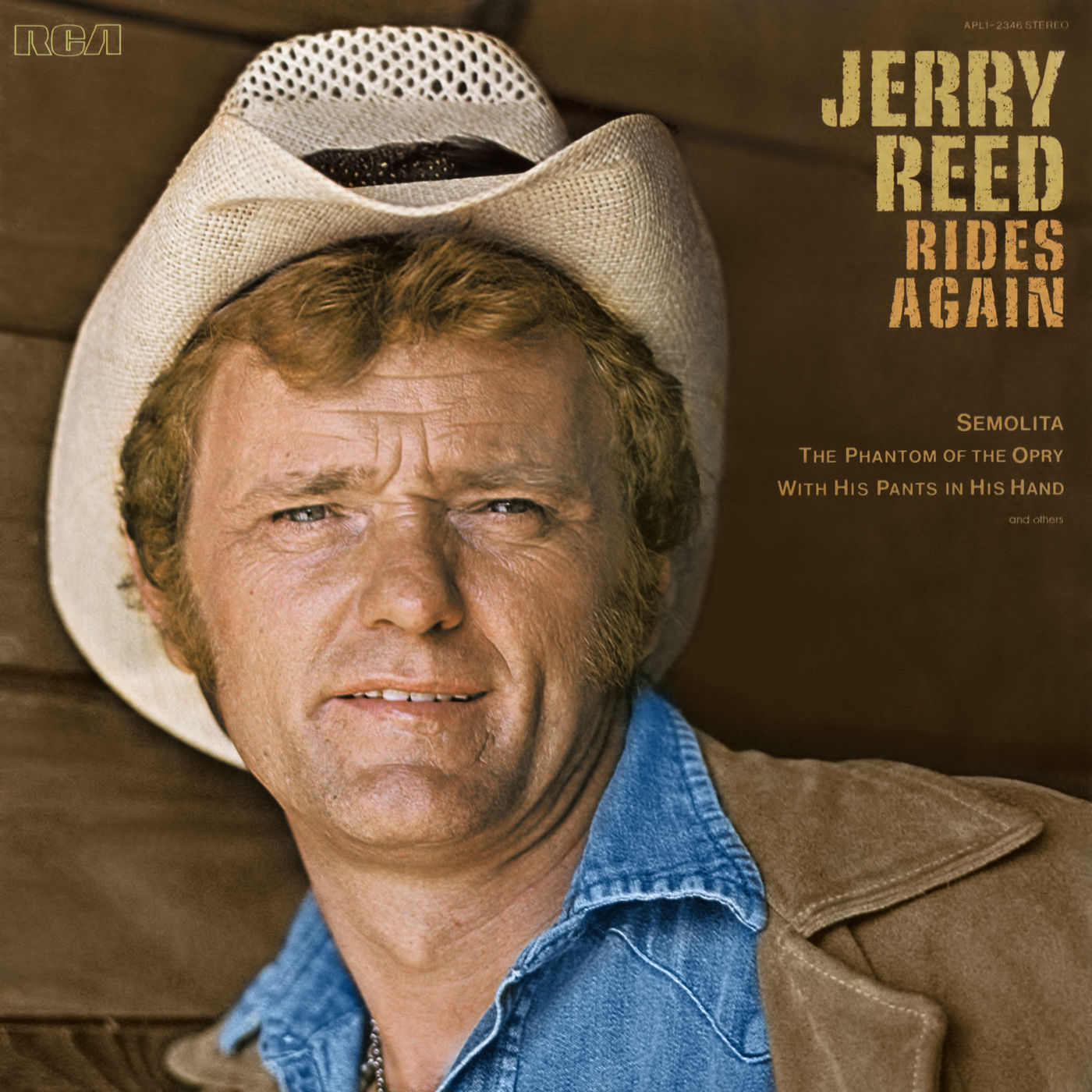 Jerry Reed – Rides Again
