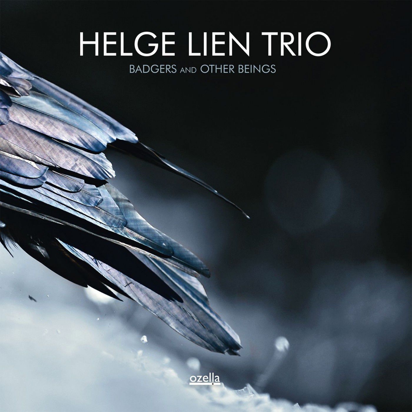 Helge Lien Trio – Badgers and Other Beings