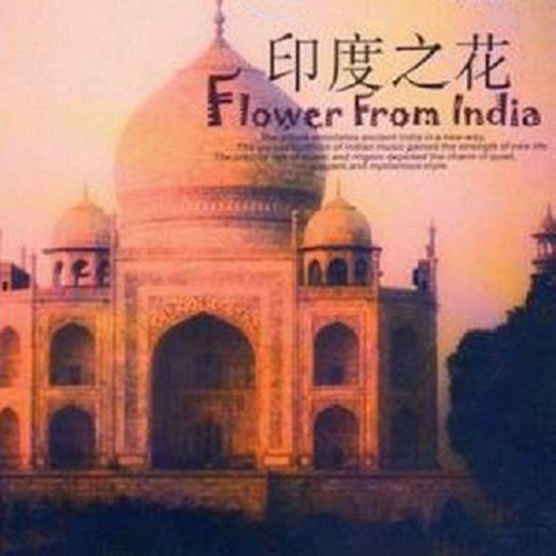 印度音乐之旅-印度之花
