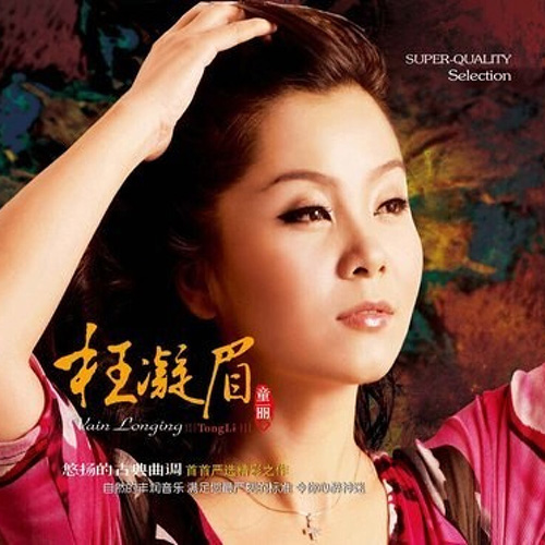 童丽-《枉凝眉》