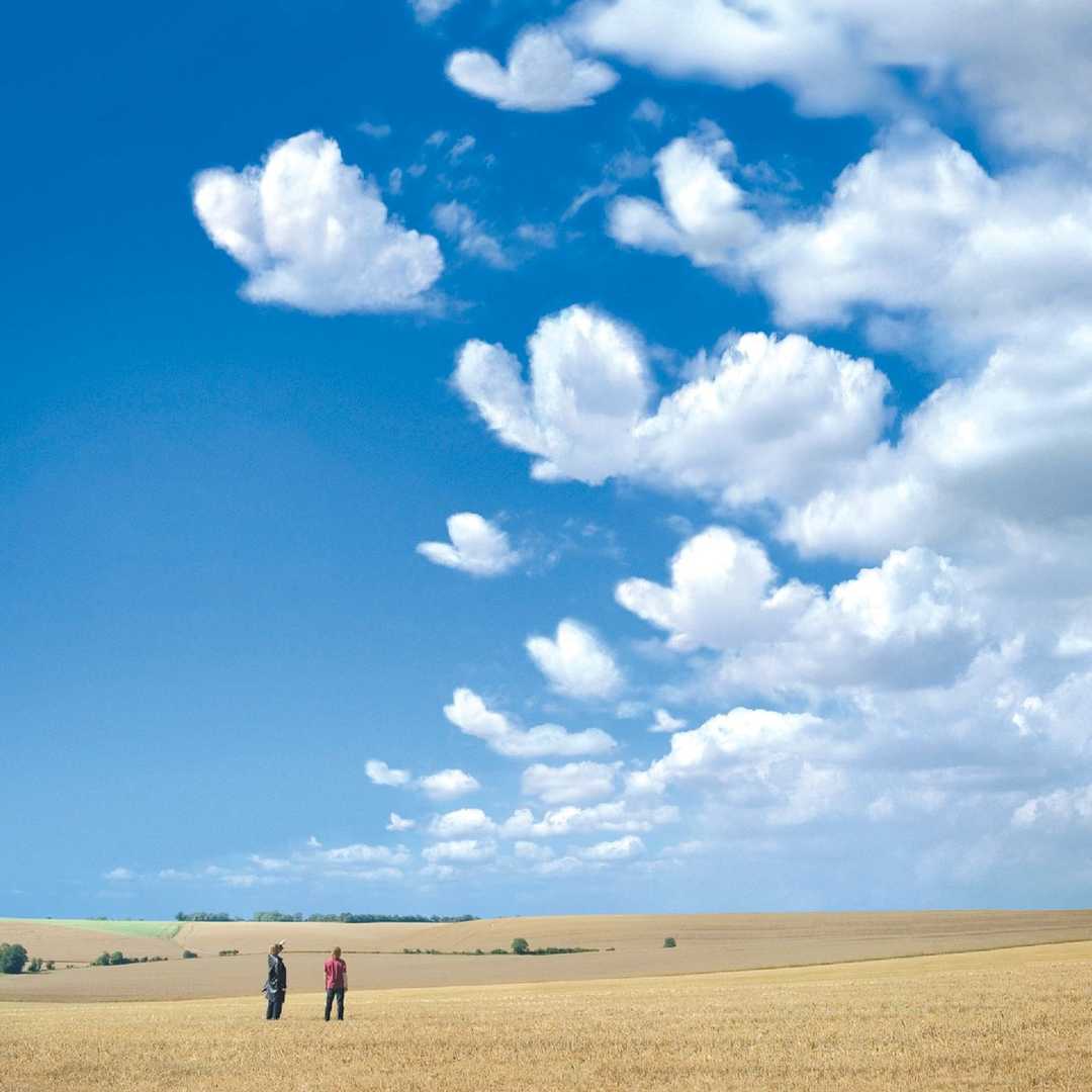 Butterflies and Hurricanes [2004]