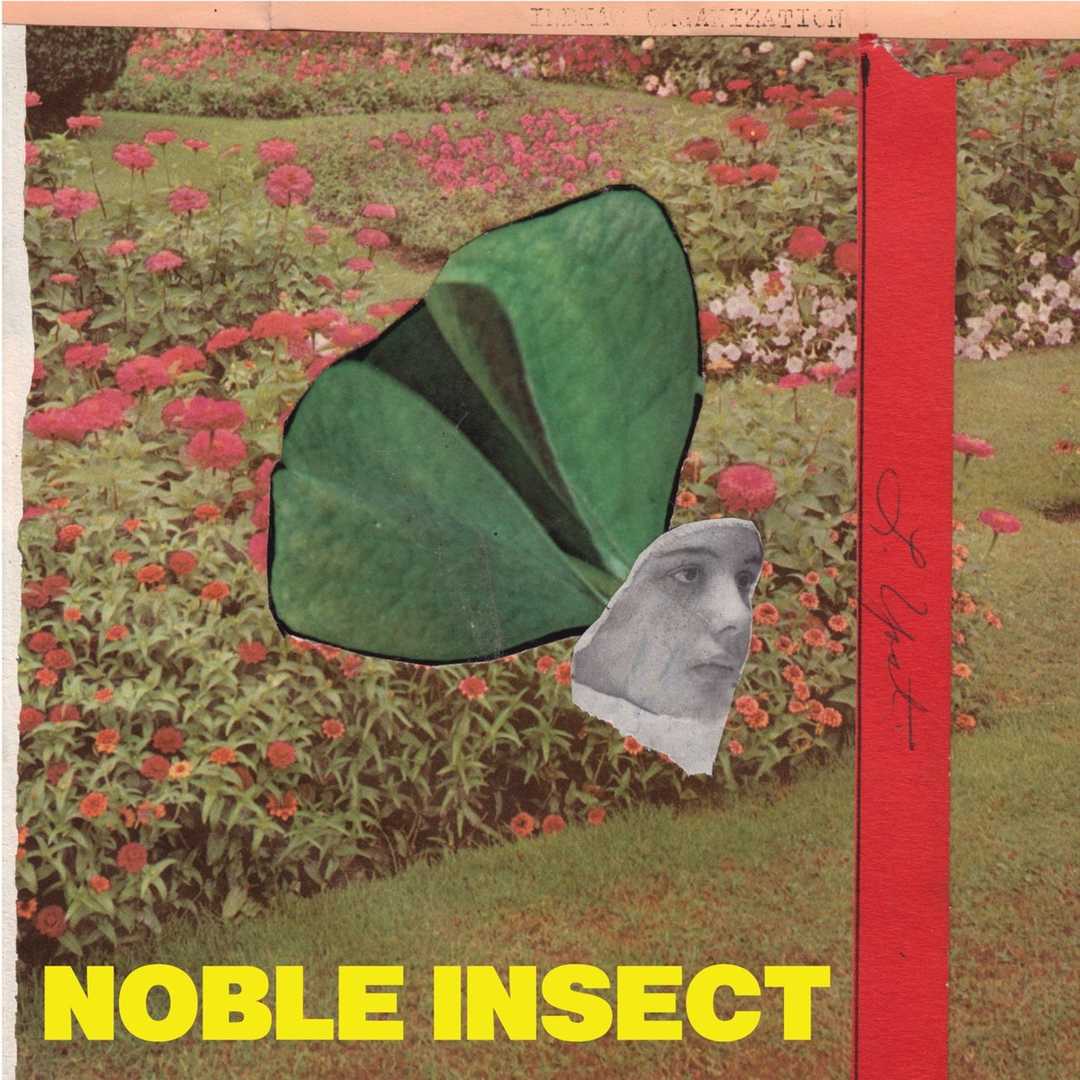 Noble Insect [2013]