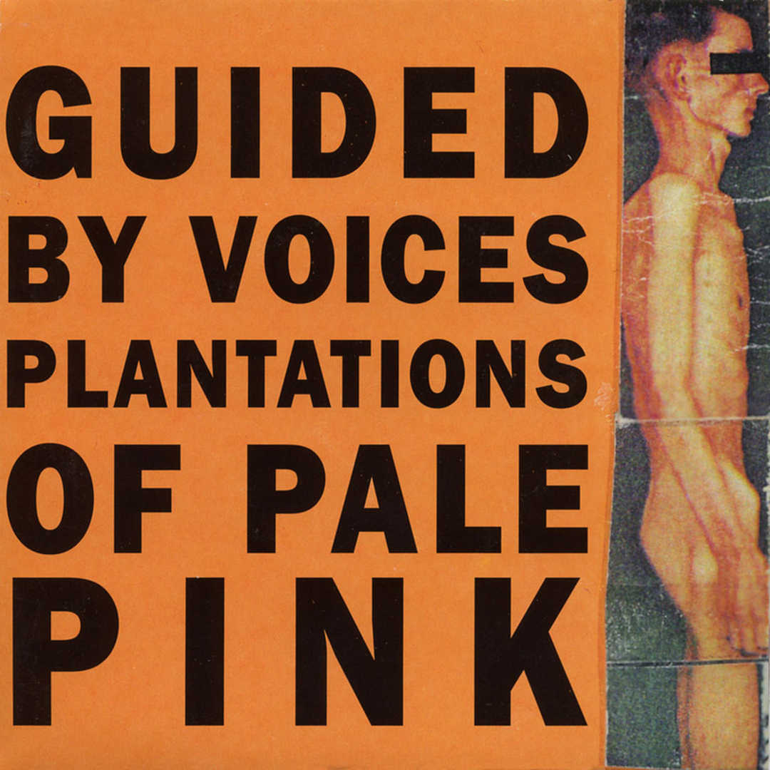 Plantations of Pale Pink [1996]