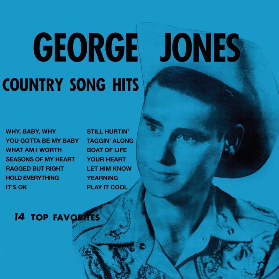 Country Song Hits [2014]