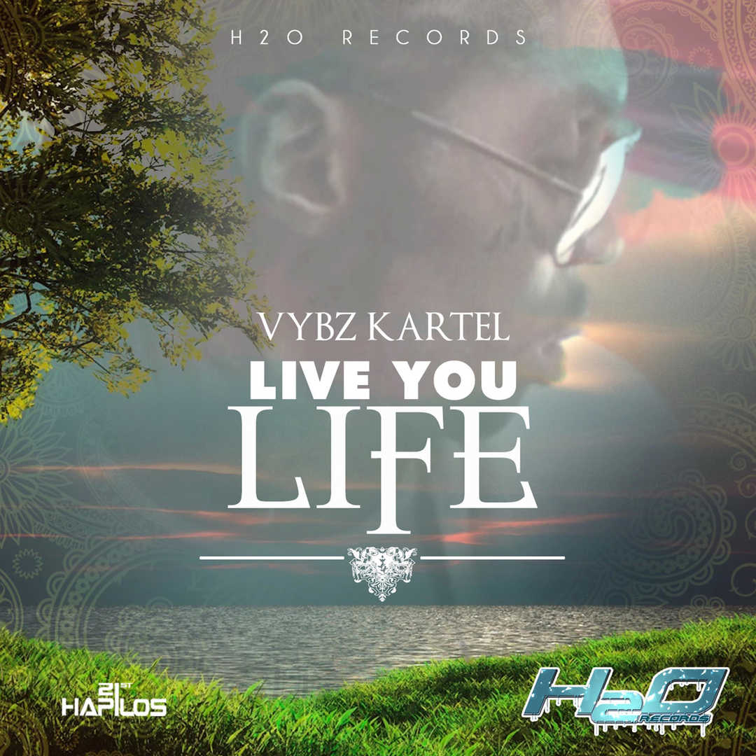 Live You Life [2013]