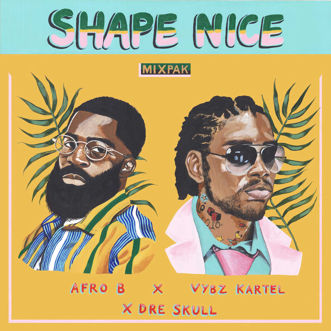 Shape Nice [2019]