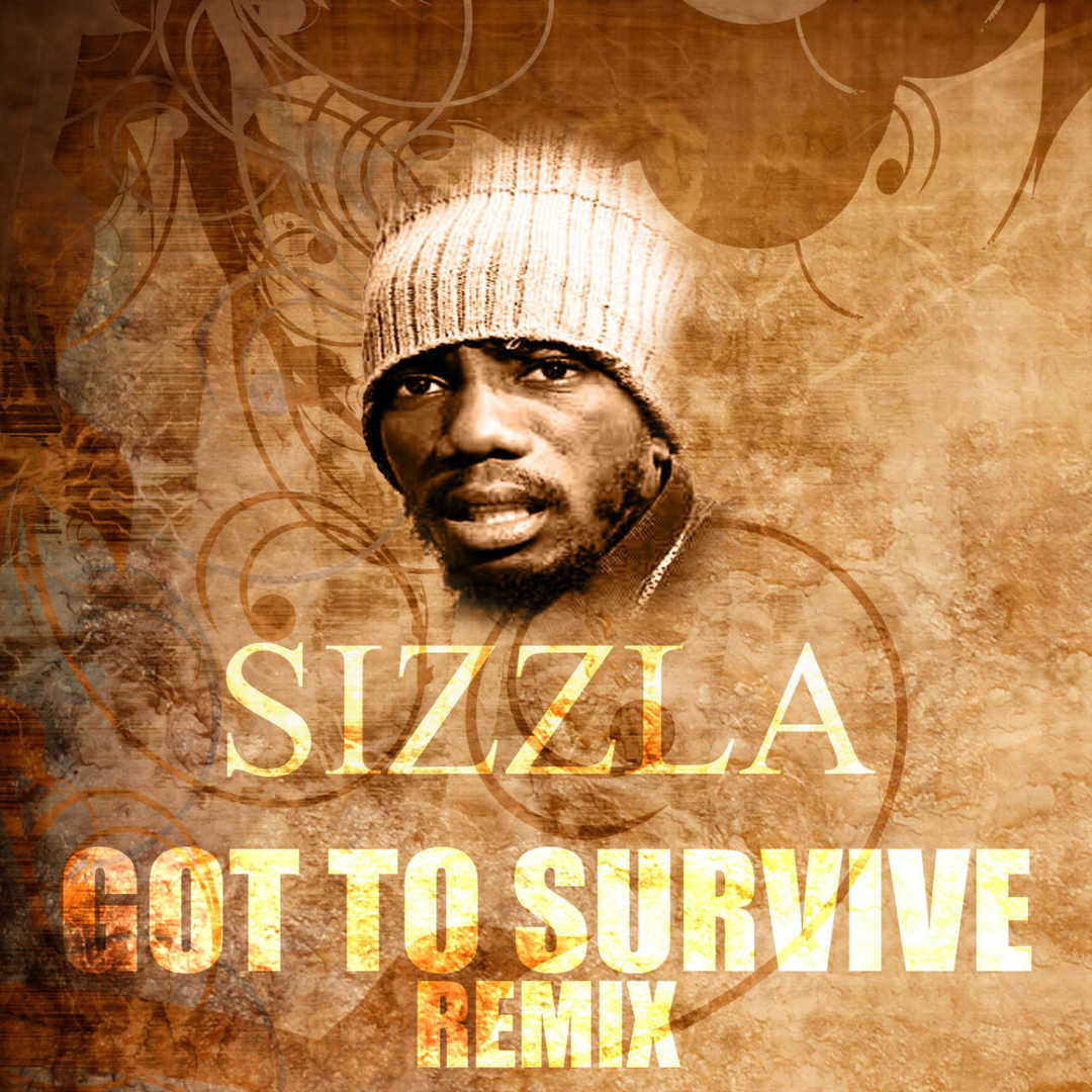 Got To Survive Remix [2012]