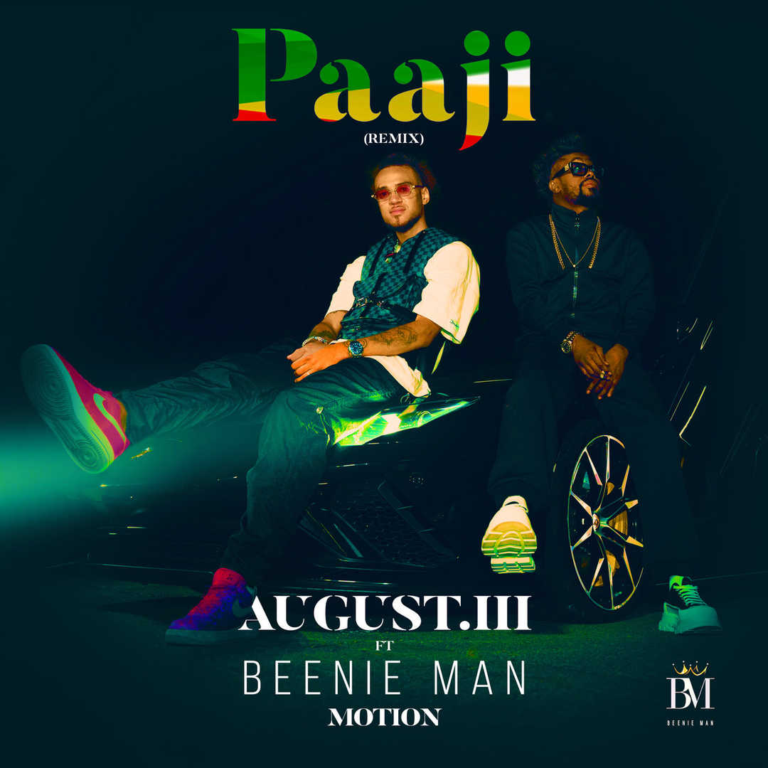 Paaji (Remix) []