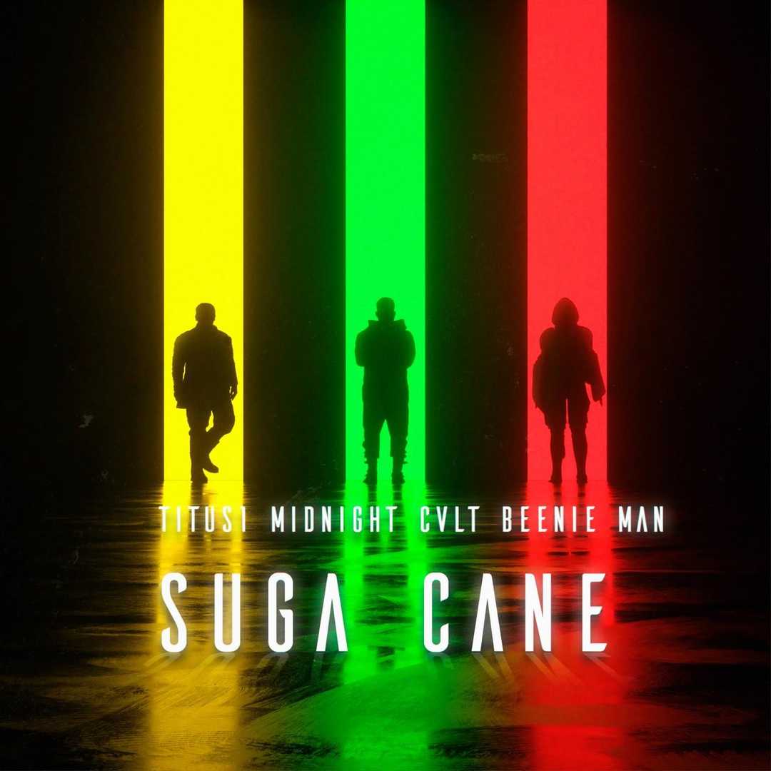 Suga Cane [2019]