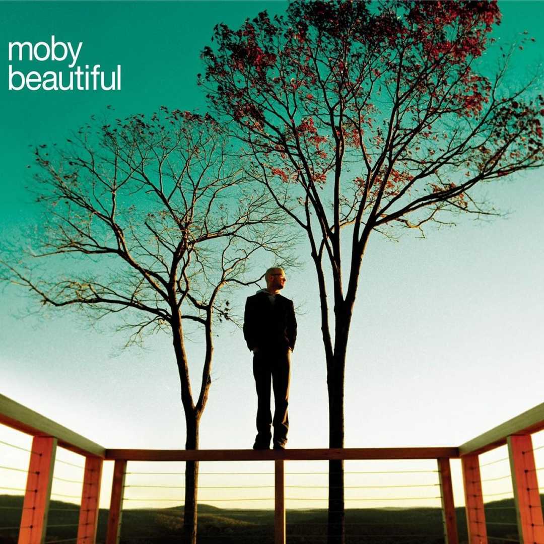 Beautiful (Remixes) [2005]