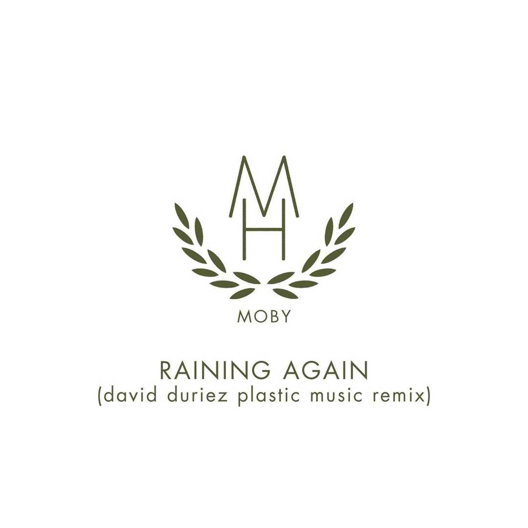 Raining Again (David Duriez Plastic Music Remix) [2005]