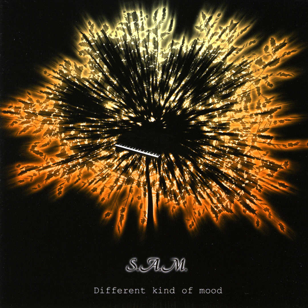 Different Kind of Mood [2008]