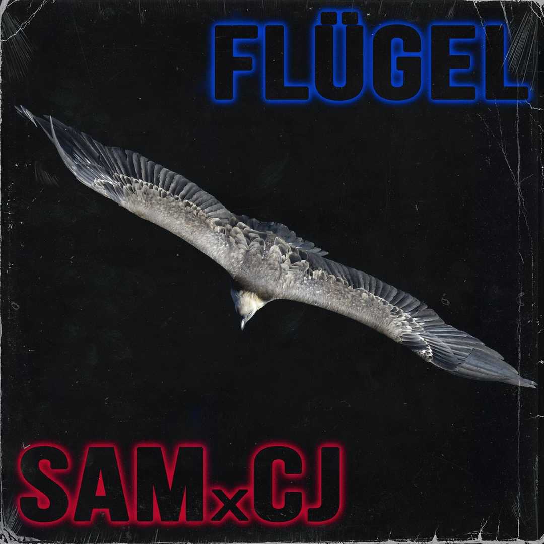 Flügel [2021]