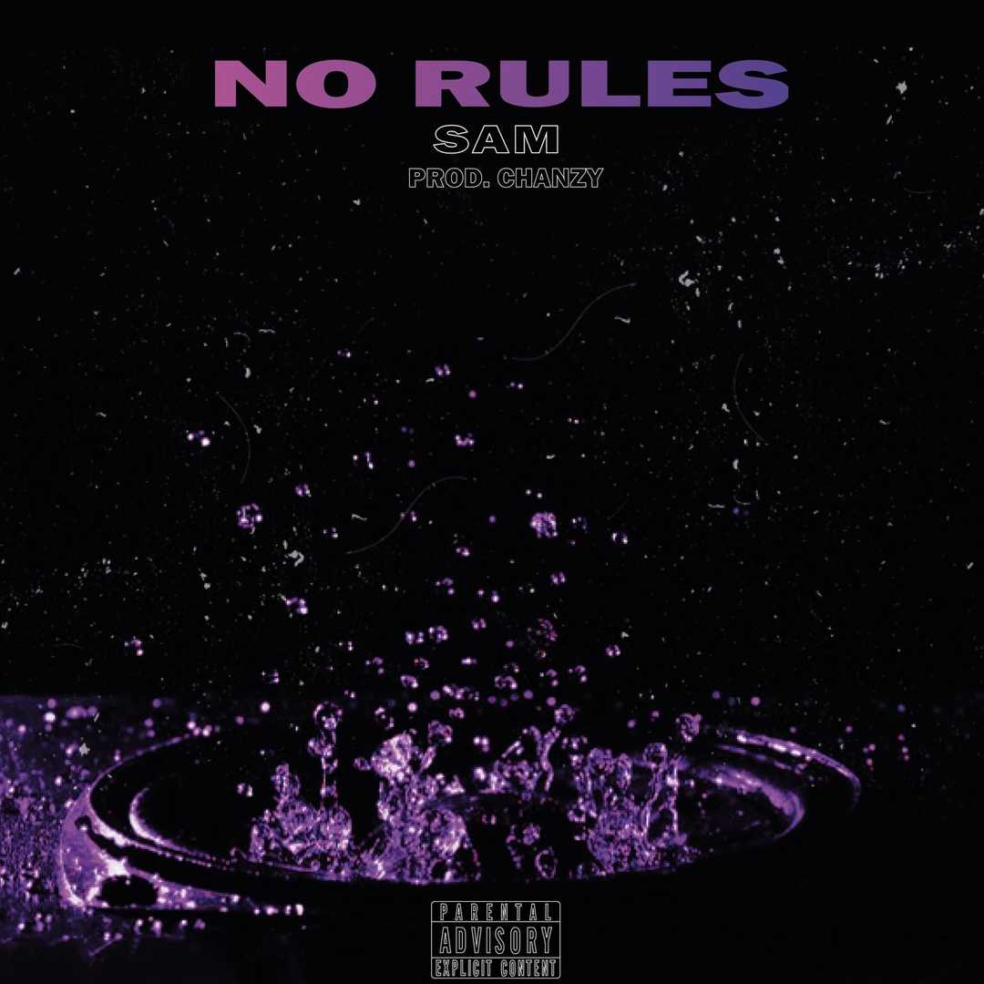 NO RULES [2020]