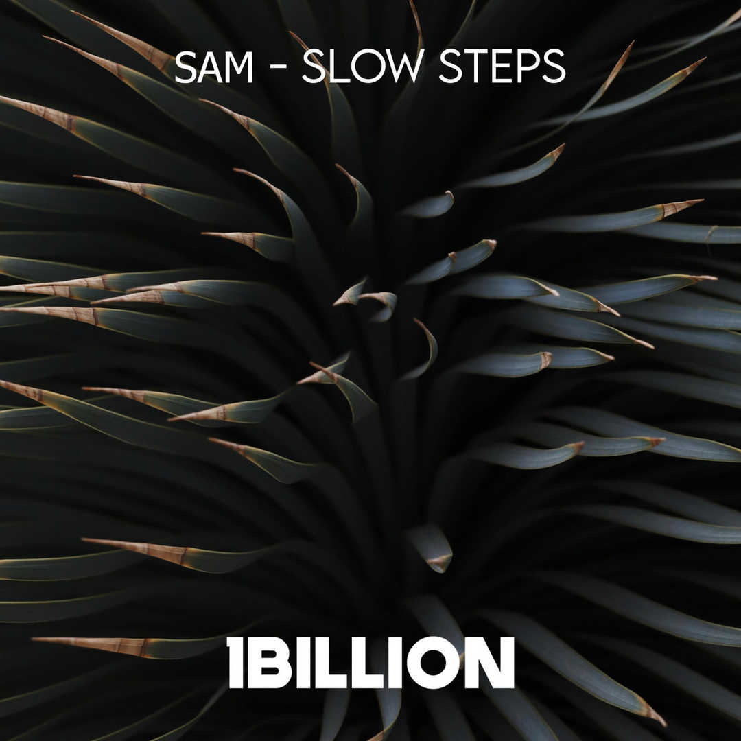 Slow Steps [2020]