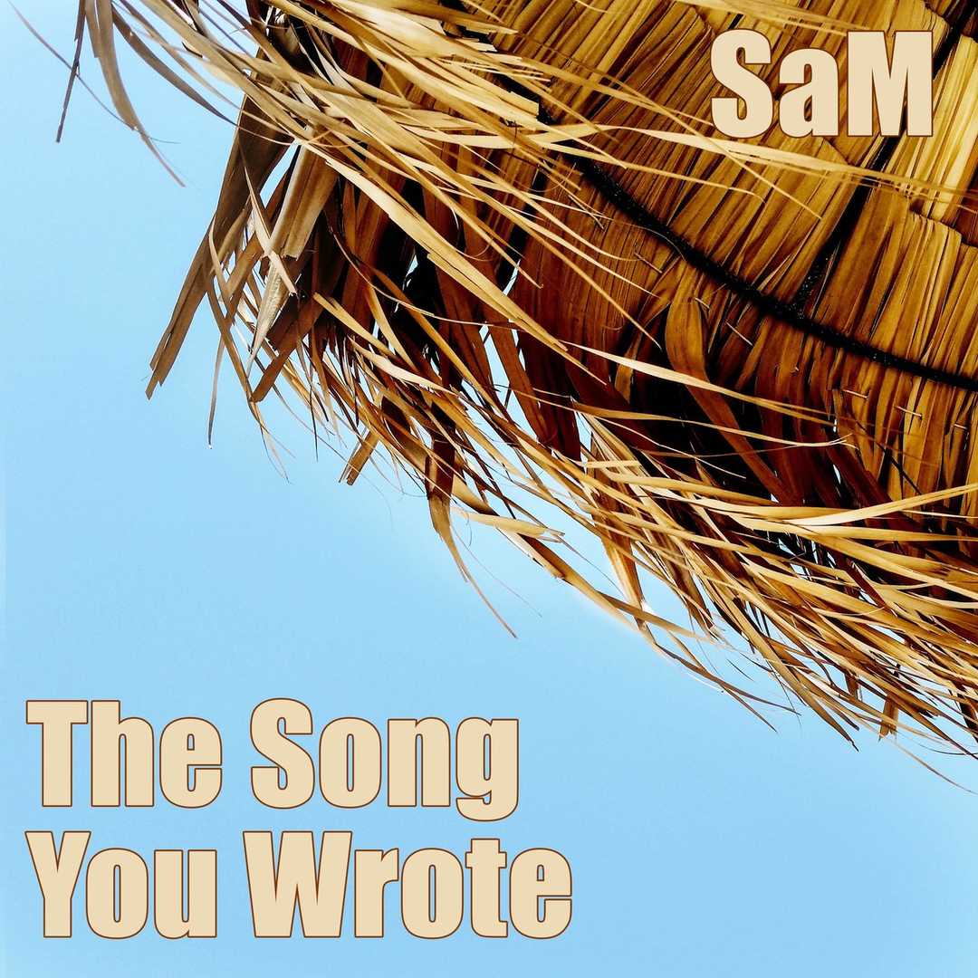 The Song You Wrote [2020]