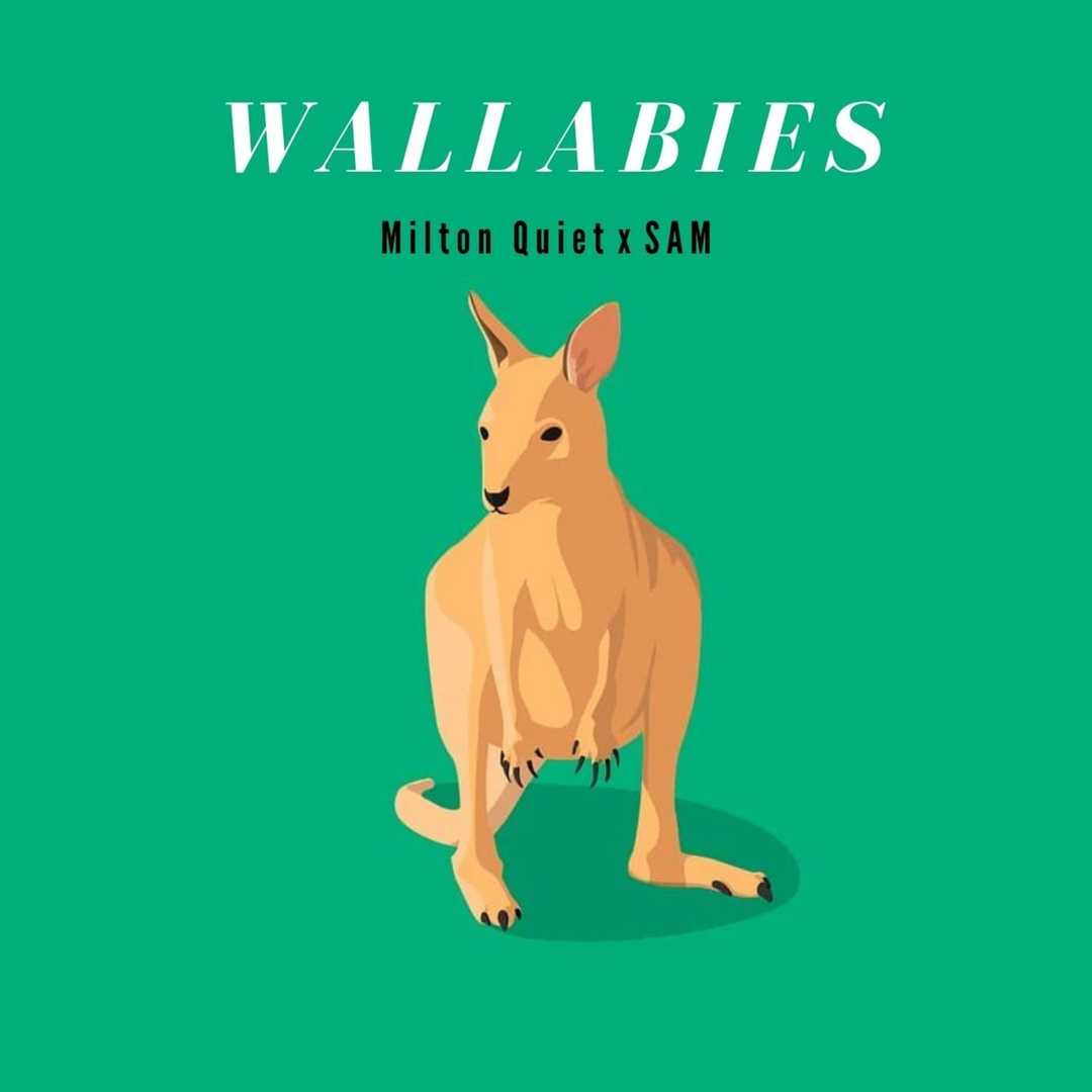 Wallabies [2021]