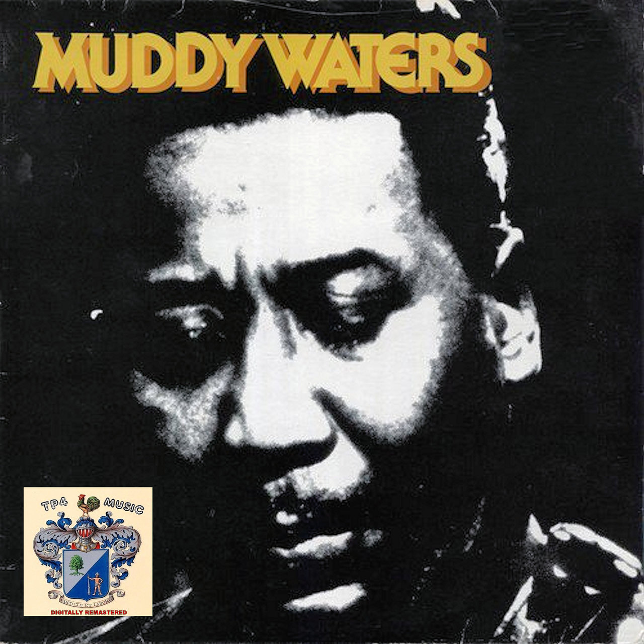 Muddy Waters 1 [2020]