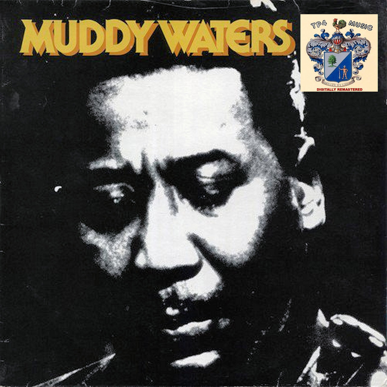 Muddy Waters 2 [1991]