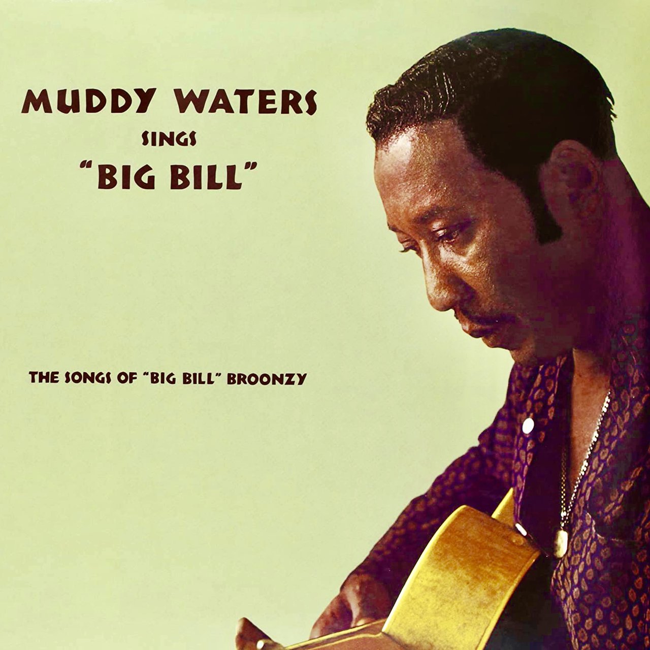 Muddy Waters Sings Big Bill Broonzy (Remastered) [1960]