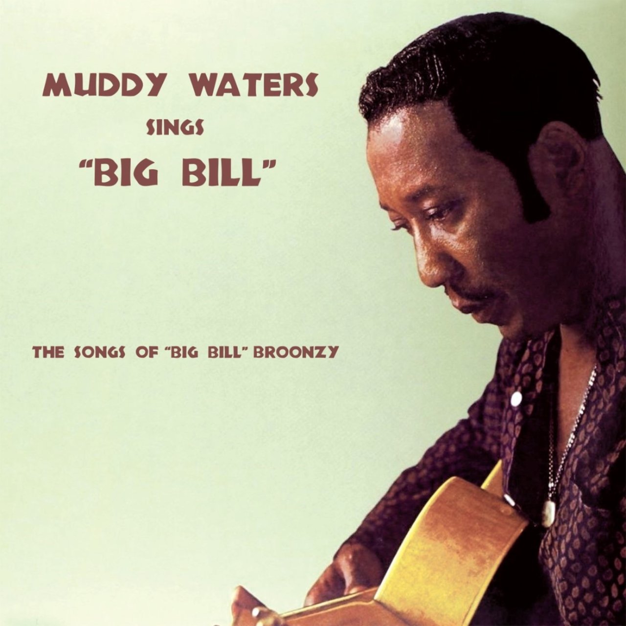 Muddy Waters Sings Big Bill [1960]