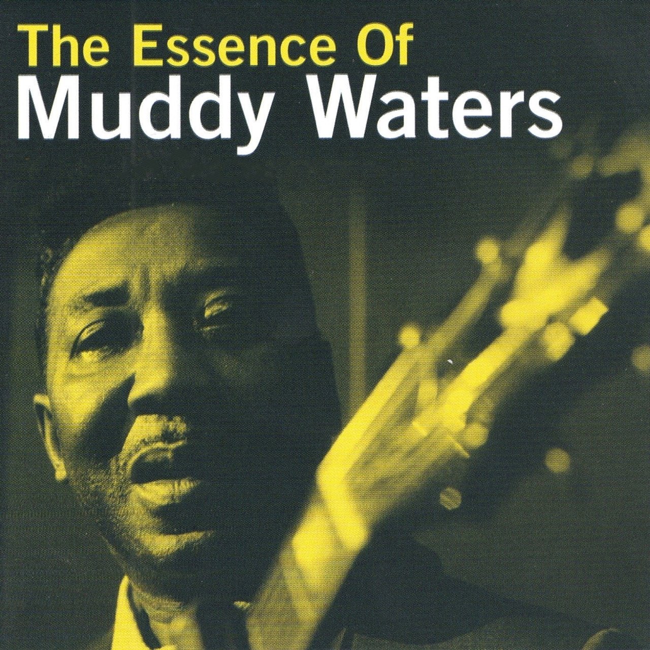 The Essence Of Muddy Waters [2007]
