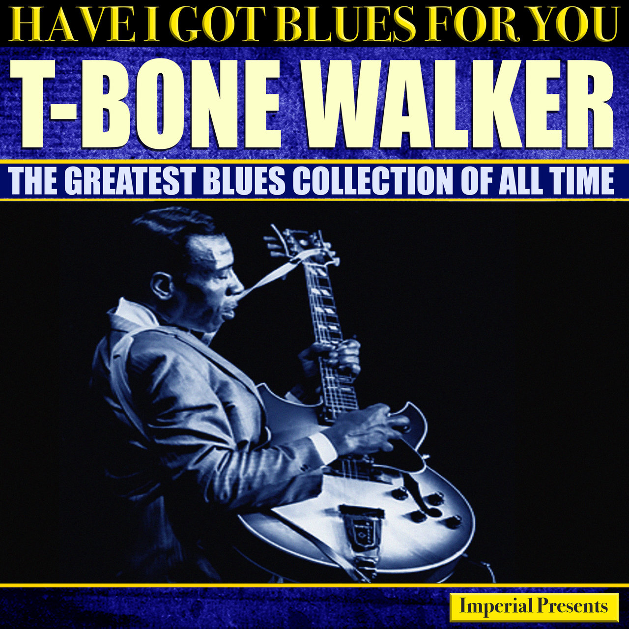 T-Bone Walker (Have I Got Blues For You) [2009]