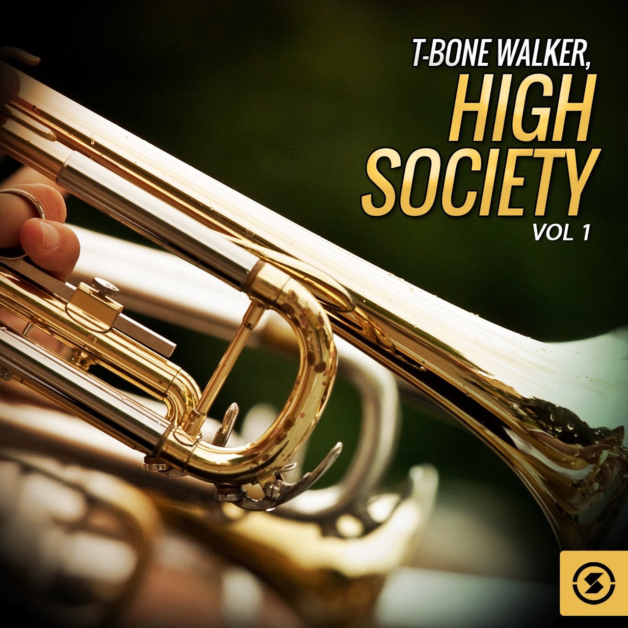 T-Bone Walker, High Society, Vol. 1 [2016]