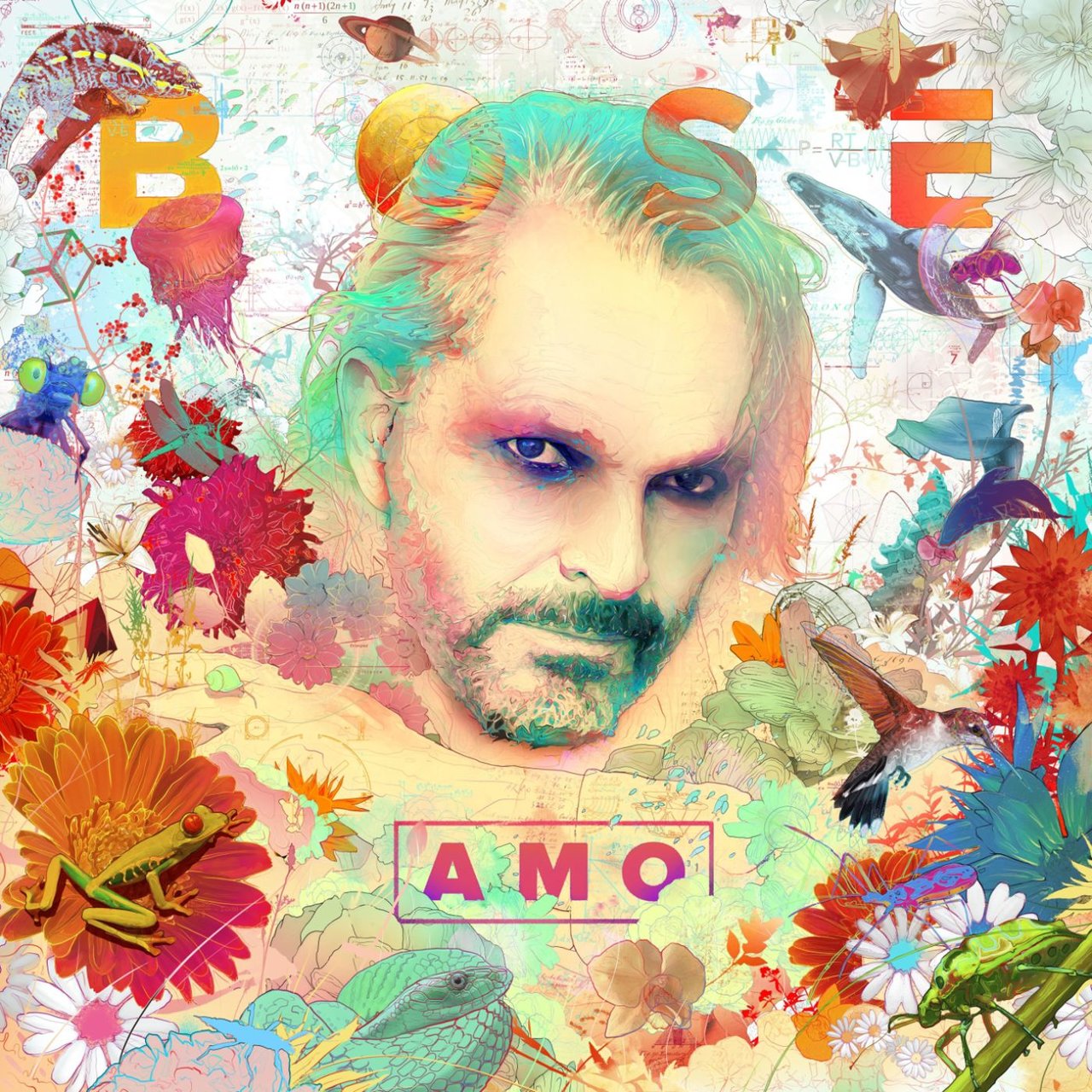 Amo [2014]