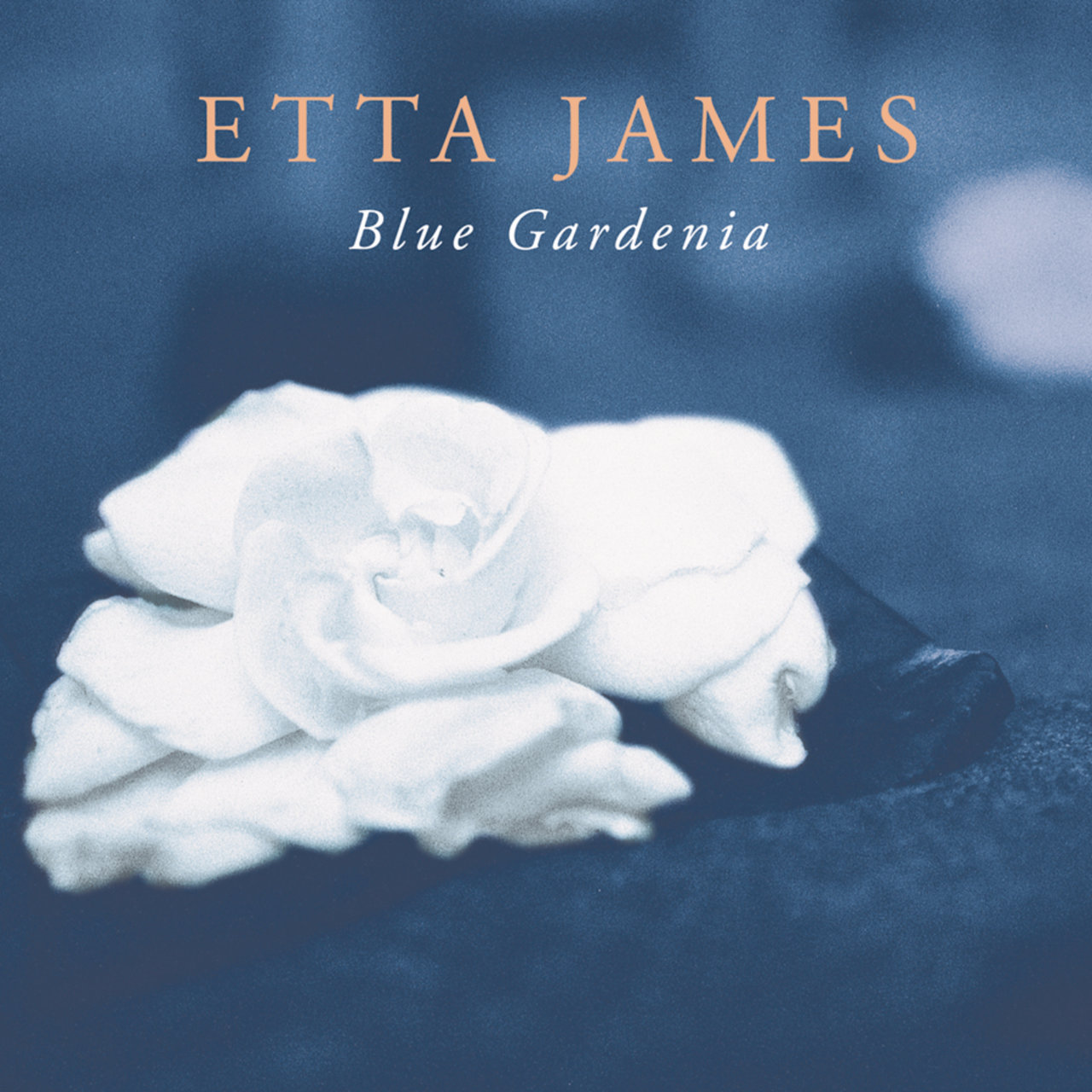 Blue Gardenia [2001]