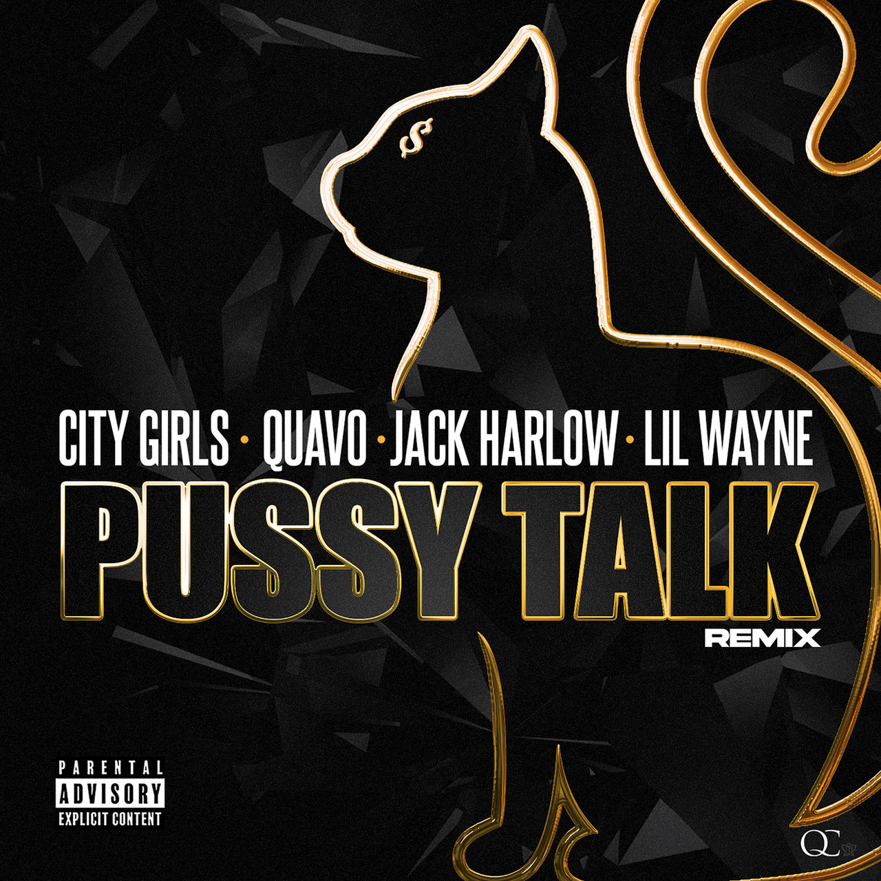 Pussy Talk (Remix) [2020]