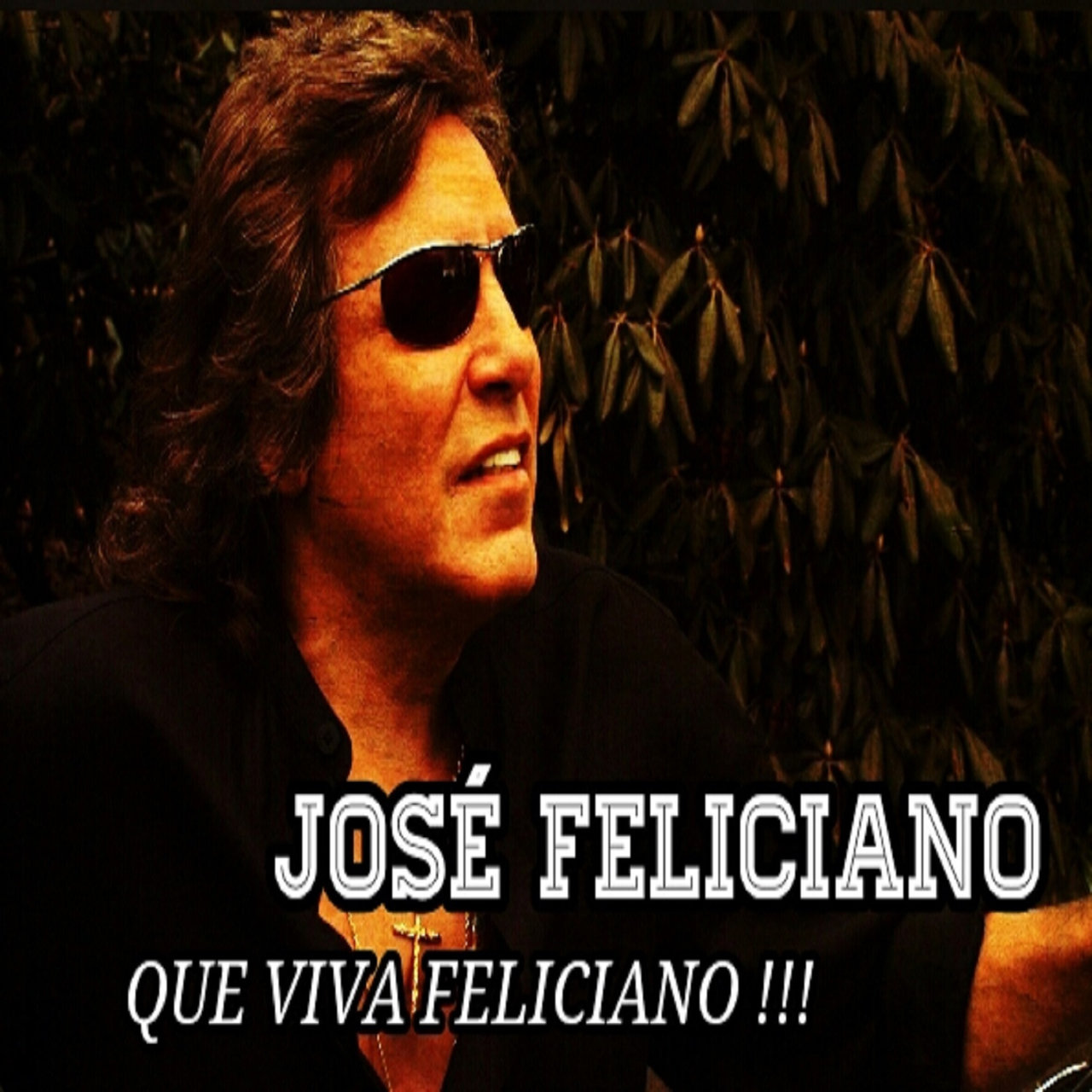 Qué Viva Feliciano!!! [2015]