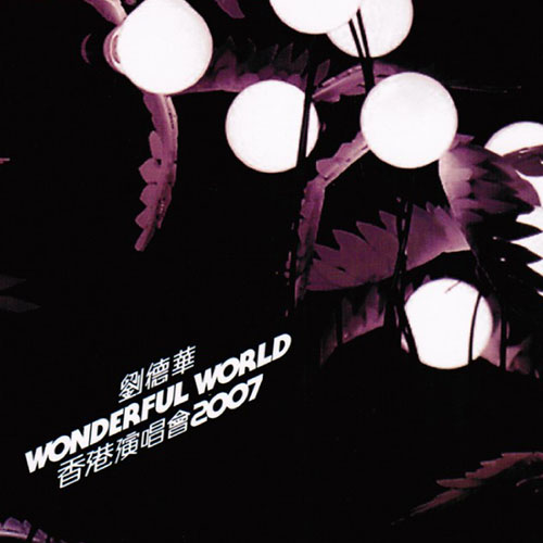 刘德华-《WODERFUL WORLD 香港演唱会 2007》