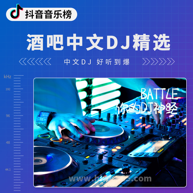 酒吧中文DJ精选