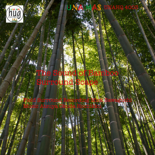 [SONY自购]-海竹·山竹 (Winds of Bamboo)