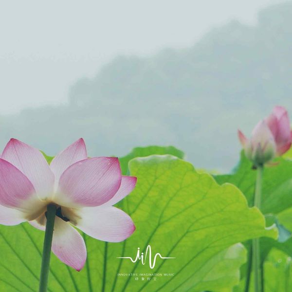 养生音乐盒《养生背景音乐｜洗涤心灵的古琴曲｜静坐冥想｜书香品茗》