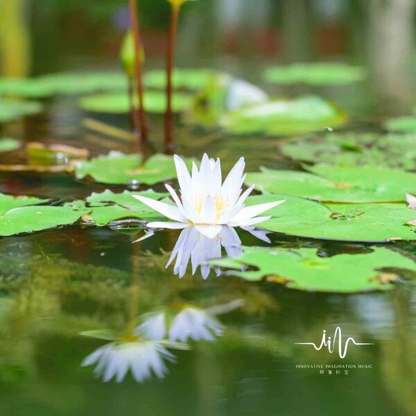禅修音乐盒《沉梦听雨 治愈心灵禅修古琴曲》