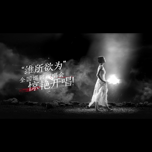 谭维维 – 2015 维所欲为北京演唱会