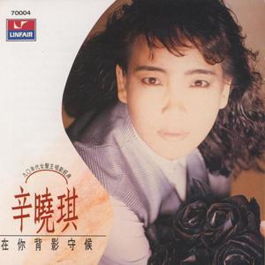 辛晓琪-《在你背影守候》