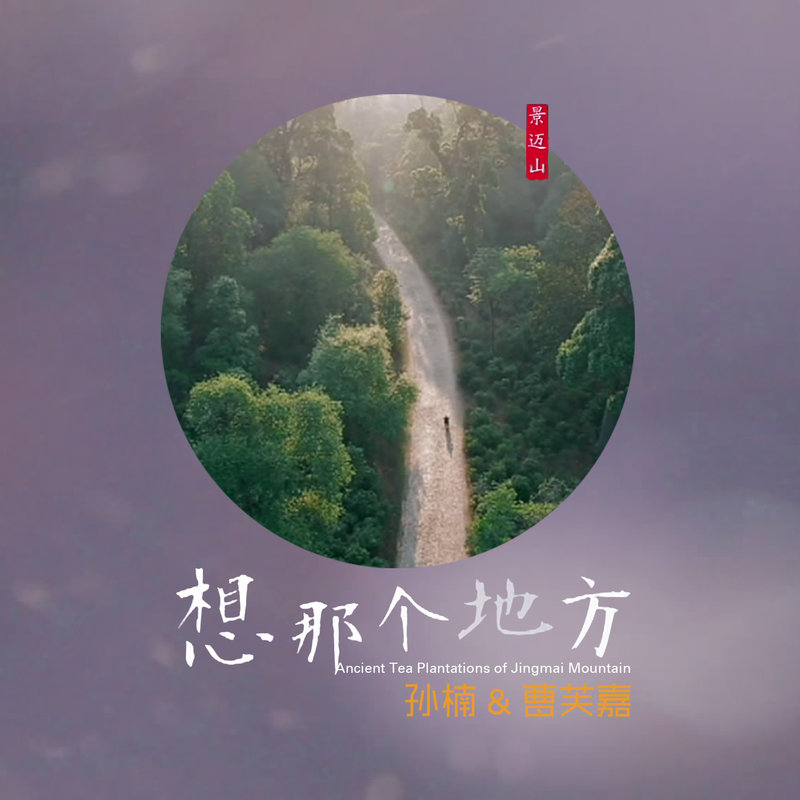 孙楠-《想那个地方》