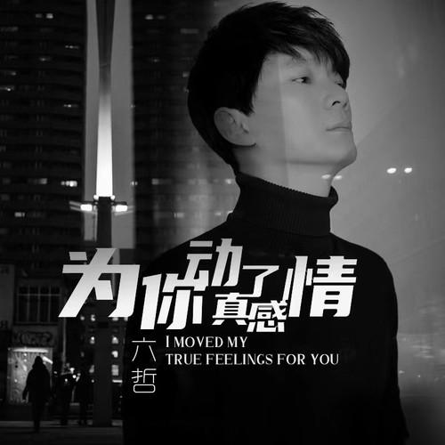 六哲-《为你动了真感情》