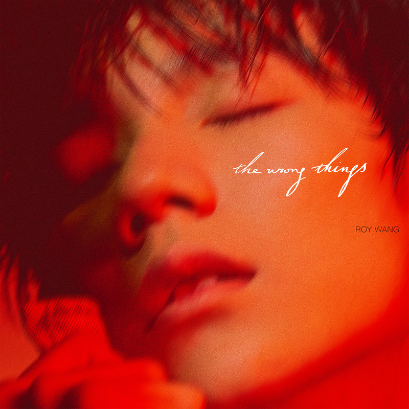 王源-《The Wrong Things》