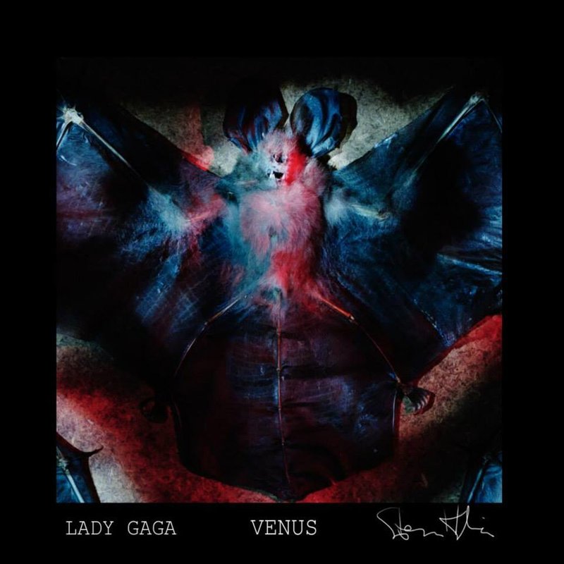 Lady Gaga嘎嘎-《Venus》
