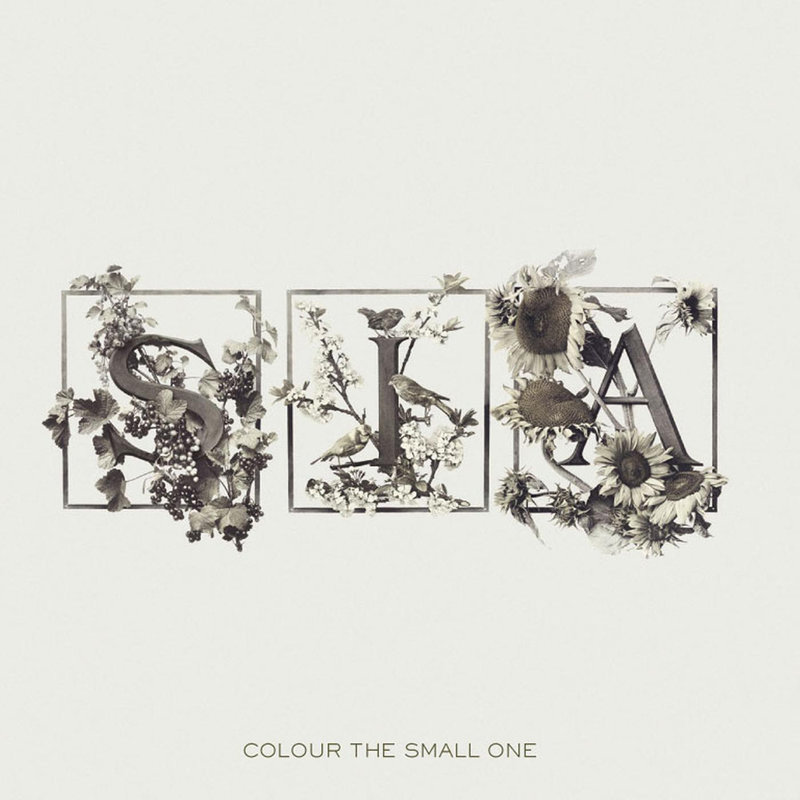 Sia希雅-《Colour the Small One》