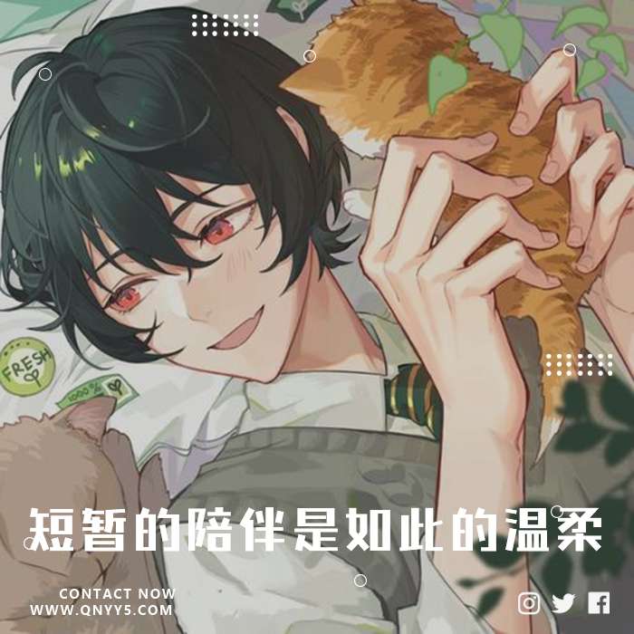 安逸の猫咪《短暂的陪伴是如此的温柔》FLAC+MP3+MV